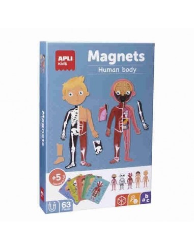 Juego Magnets  El cuerpo humano