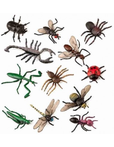 Conjuntos tem  ticos de animales   Insectos