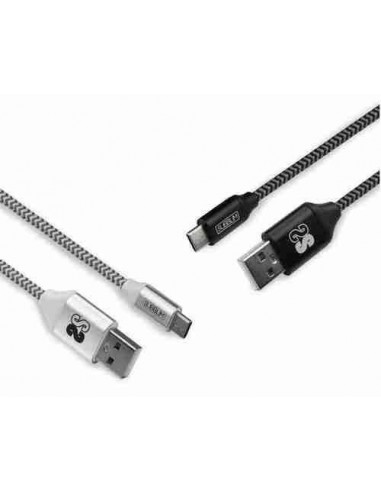 Pack 2 cables USB Tipo USB C A 3