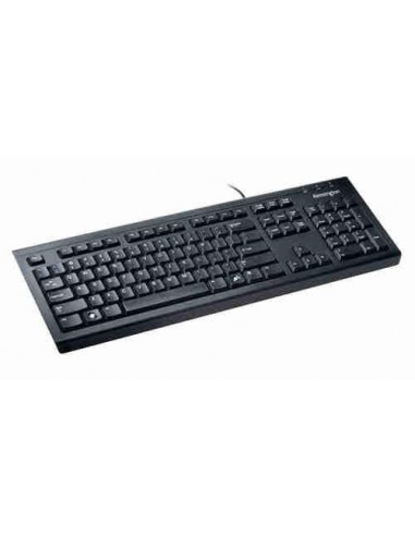 Teclado ValuKeyboard USB PS2