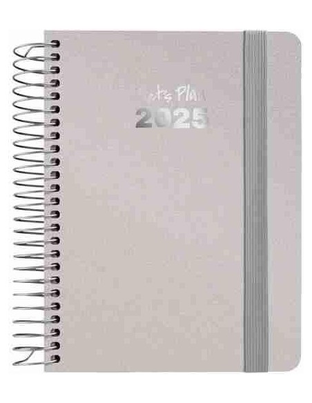 Agenda 25 D/P A6 METALLIC plata