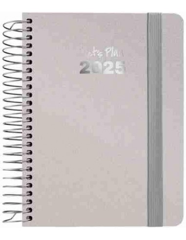 Agenda 25 S V A6 METALLIC plata